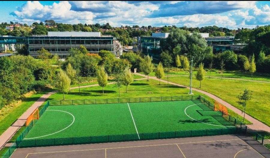 free sample artificial grass