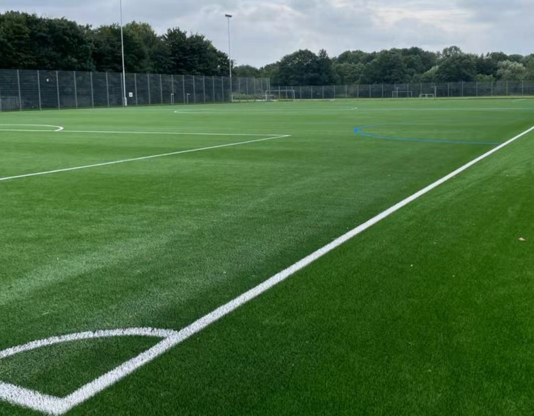 soccer courts grass