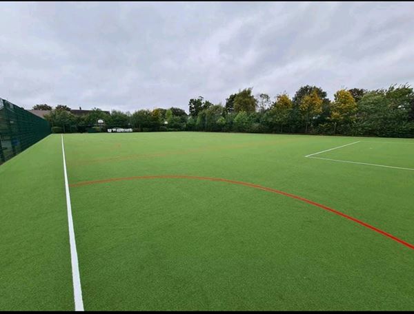 premium football grass
